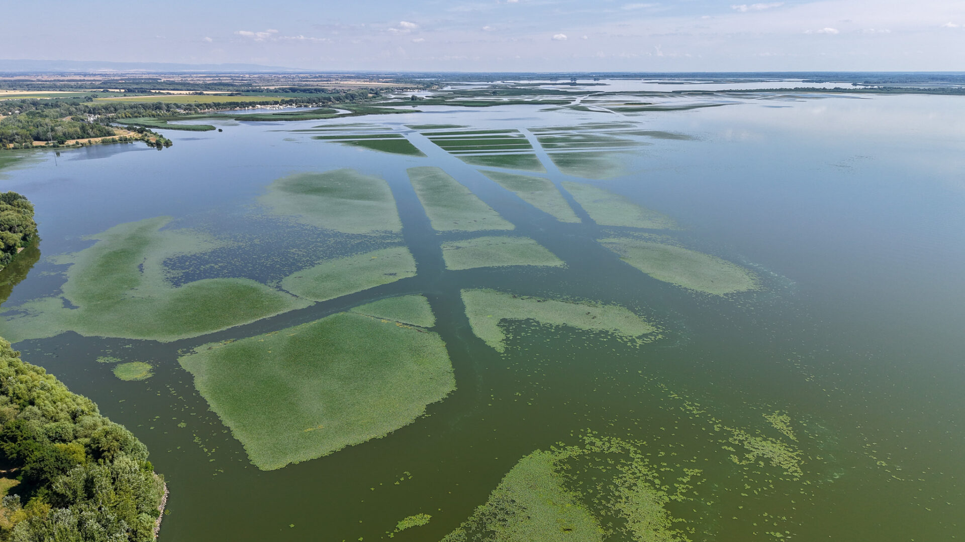 Befejeződött a sulyomkaszálás a Tisza-tavon