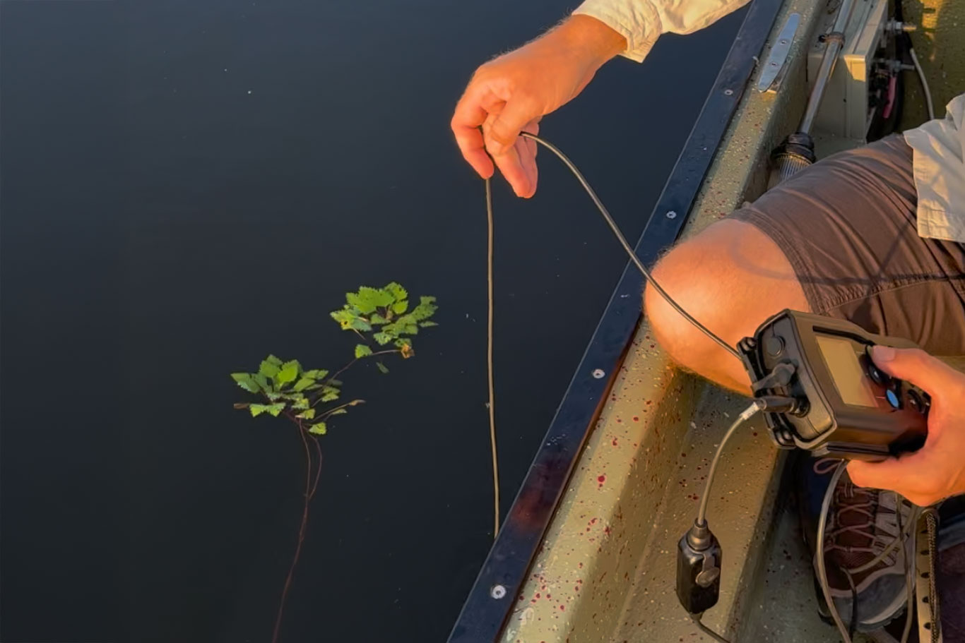 Folyamatosan figyeljük a Tisza-tó vízminőségét