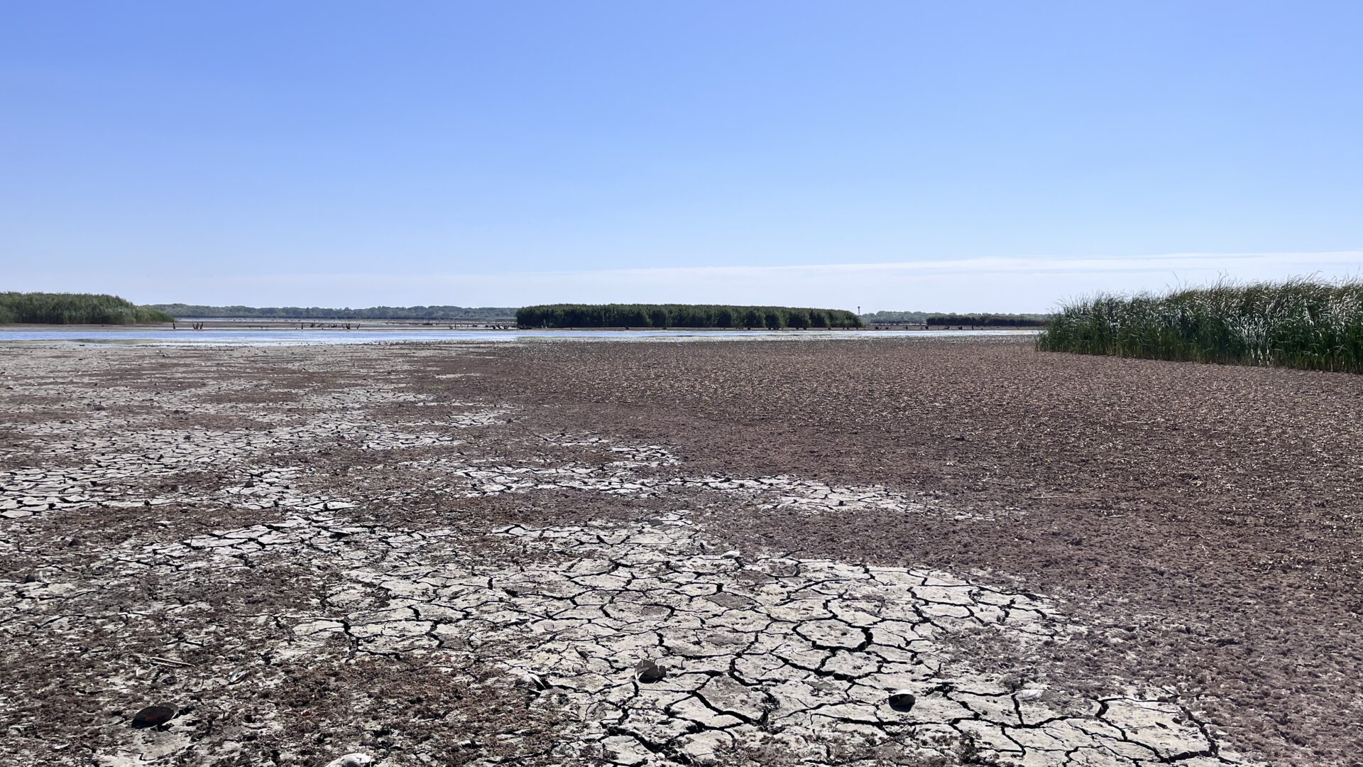 Alacsony vízállás a Tisza-tavon